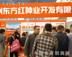 ���ݖ|���t�N�I(y��)��������ǰ��