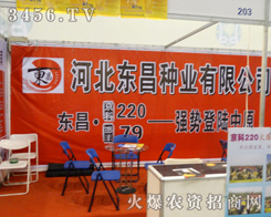 �|���N�I(y��)����2013�����＾�N�ӕ�