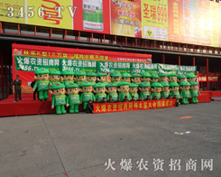 ���¿಻������ֻ��������������