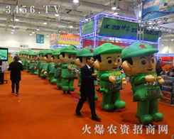 ���r(n��ng)�Y���̾W(w��ng)��19�Ý�(j��)��ֲ����(hu��)��ף��