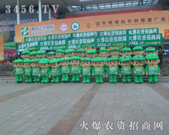 19��ɽ�|ֲ����(hu��)�ϻ��r(n��ng)�Y�W(w��ng)�ǺØӵ�