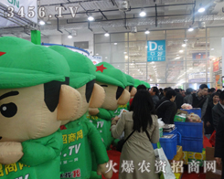 �������������̻�