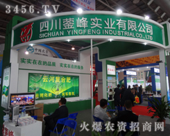 �Ĵ��B�匍�I(y��)��չ2013�׏�(f��)�ʕ�