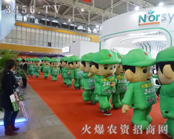 �ꇘ��������ϲҊ��ģ������