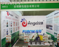 �V�����ĺ������簲����ĸ��˾��2013ֲ����(hu��)����ú���