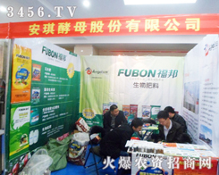 ������ĸ�c������2013���շ���չʢ�e��