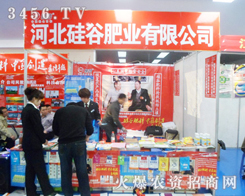 ��ȷʘI(y��)��2013���շ���չչλǰ�˳�ӿ��(d��ng)��