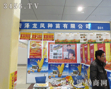 ��s�ʝ��r�Y���������ʝ����P�N�繫˾