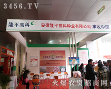 ¡ƽ�߿Ɣy������aƷ�@�G����ʝ��r������