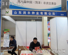 ɽ�|���S�N�I(y��)����ڰˌúʝ��r����