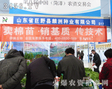 ��Ұ���ݷN�I(y��)�ںʝ��r(n��ng)�Y��(hu��)��ȫ������������