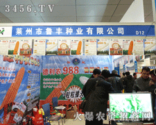 �R�����S�N�I(y��)�ںʝ��r(n��ng)�Y��(hu��)�µĮa(ch��n)Ʒչʾ