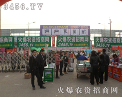 ���r�Y���̵ľGɫ����܊�Fꠁ������f�r�Y����