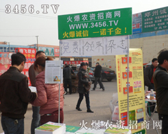 ���r(n��ng)�Y�W(w��ng)�oչ���ĬF(xi��n)��Ϳ��һ���r�G�ɫ