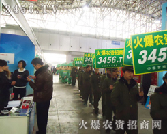 ���r(n��ng)�Y���̾W(w��ng)�ľGɫ܊�F(tu��n)���ڶ���