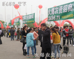 ���r(n��ng)�Y�W(w��ng)���p����������һչ���A