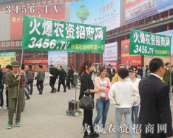 �����̱M�����ºÕr��(ji��)