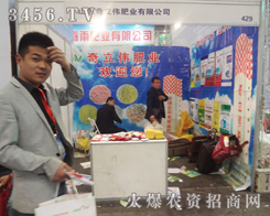 �������ʘI(y��)�gӭ��҅���2013�����p������