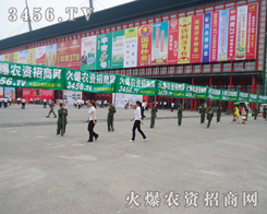 2013�����߲˷N�ӕ�(hu��)�����r(n��ng)�Y�W(w��ng)��Ȼ��ҫ�۵��L(f��ng)��