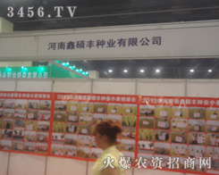 �����δT�S�N�I(y��)�c���������ݷN�ӕ���(zh��n)�rϲ����