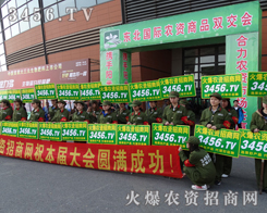 3456.TV֮����������������