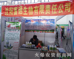 ��ꖸ��������_��2014��ꖷ��ϕ������