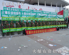 ���r�Y�F���������