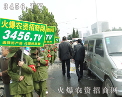 ȫ���Ը����oԹ�o��