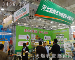 �����О��ʘI(y��)��(qi��ng)�ݳ���2014��(j��)��ֲ����