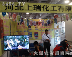 �ӱ����𻯹����޹�˾���ܺ��u(p��ng)