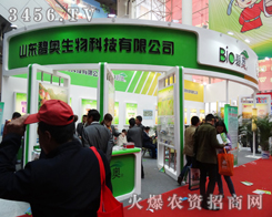 ɽ�|�̊W����Ƽ����ݳ���ɽ�|ֲ����