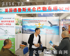 Ӣ������˹����ɽ�|ֲ����ȡ�üѿ�