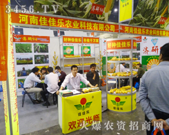 ���ϼѼј��r(n��ng)�I(y��)�Ƽ���չ�d��(chu��ng)��ʮ��