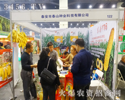 ̩����̩ɽ�N�I(y��)2014�����＾�N�ӕ�(hu��)߳���L(f��ng)��