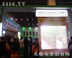 2014�＾�N�ӕ�(hu��)������(y��u)�N�I(y��)���̻�