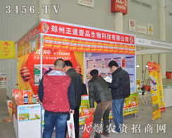 ����ҼƷ����Ҟ�������