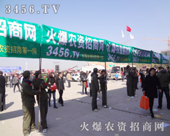 ���Ì��ң����r(n��ng)�Y���̈F(tu��n)꠾��������ǰ