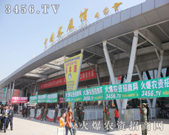 ���r(n��ng)�Y���̾W(w��ng)�����F(tu��n)꠾ͺ���������������С�L(f��ng)��