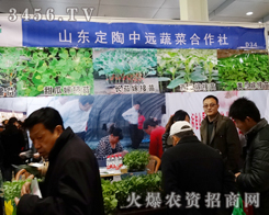 ���_�T��ϲӭ��(j��ng)�N�̿���ɽ�|�������h�߲˺������®a(ch��n)Ʒ