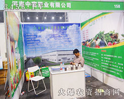 �����и��ʘI(y��)��(qi��ng)�����u2014��ԭ���ϕ�