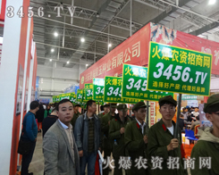 �����w���r(n��ng)�Y�W(w��ng)�ľ�������