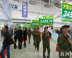 ���r(n��ng)�Y�W(w��ng)�ˆT���e(cu��)�^(gu��)�κ�һ��(g��)�͑�(h��)