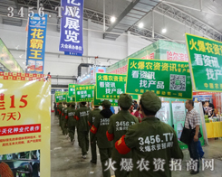 ���r(n��ng)�Y�W(w��ng)׌�����F(xi��n)ٍ�X�ĉ���