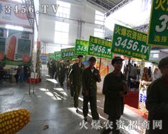 3456.TV�����ˆT�ľ����Ⱦ��(hu��)�ϵ�ÿһλ��