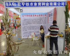 �|���F�r(n��ng)�����N�I(y��)��չ���J(r��n)��Ԕ��(x��)�Ľ�B�Լ���Ʒ��