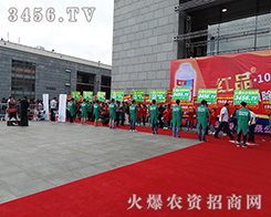 ���¿಻�������L(f��ng)�����԰��P(y��ng)