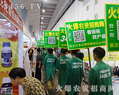 �𱬾W(w��ng)���̺�ƽ�_(t��i)��ʡ�r(sh��)ʡ����ʡ�X