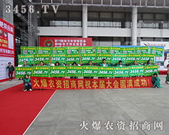 ���Ի��r(n��ng)�Y���̾W(w��ng)�ľ�Ӣ�����¿���������