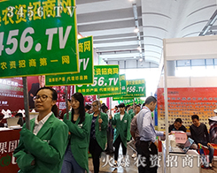 �𱬈F(tu��n)�(du��)���¿಻����