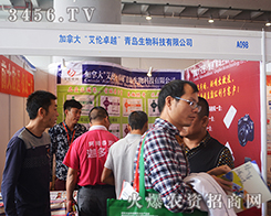 ���ô󰬂�����I(xi��n)�Y��13���ό��r(n��ng)�Y��(hu��)����ʢ�e��